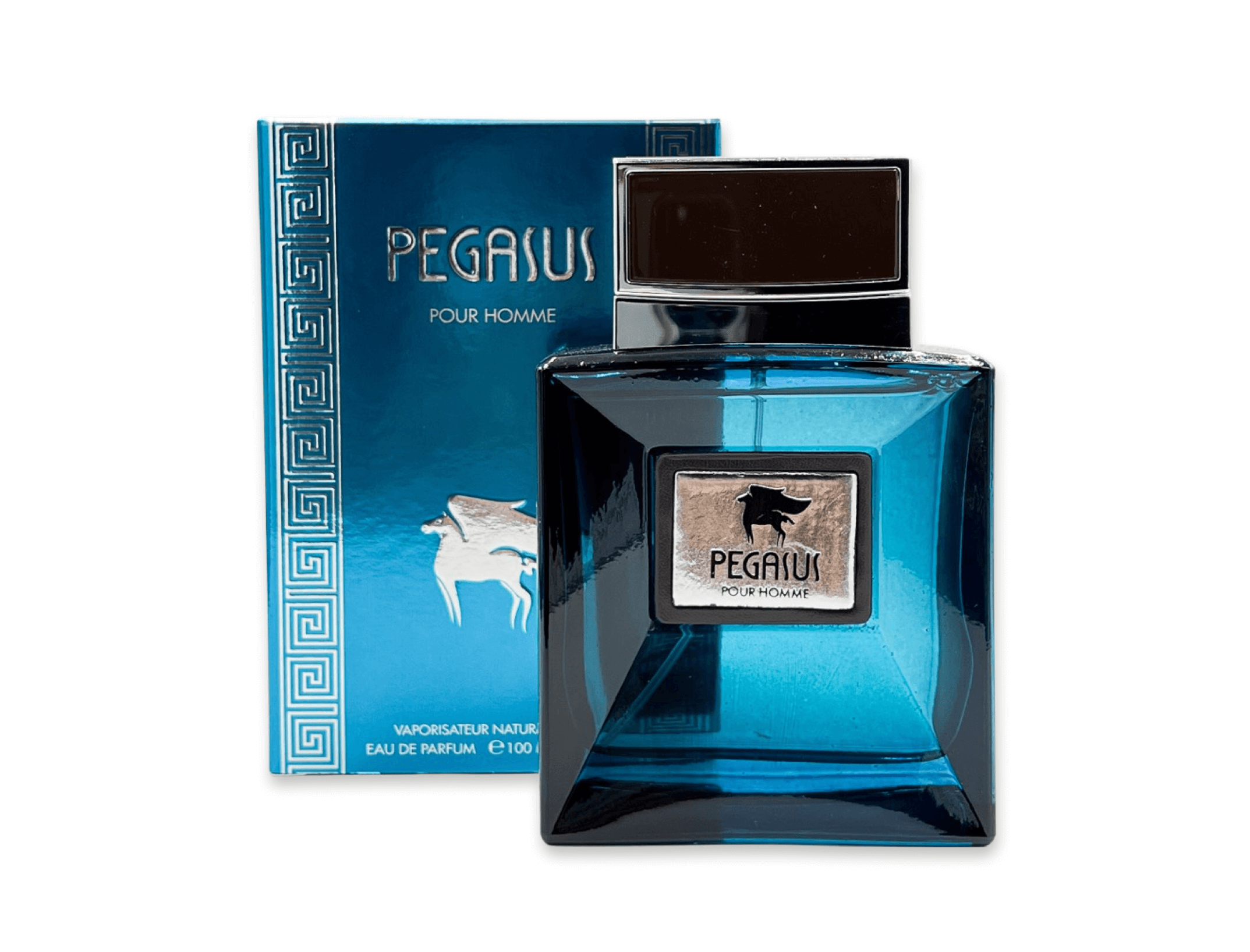 PEGASUS man
